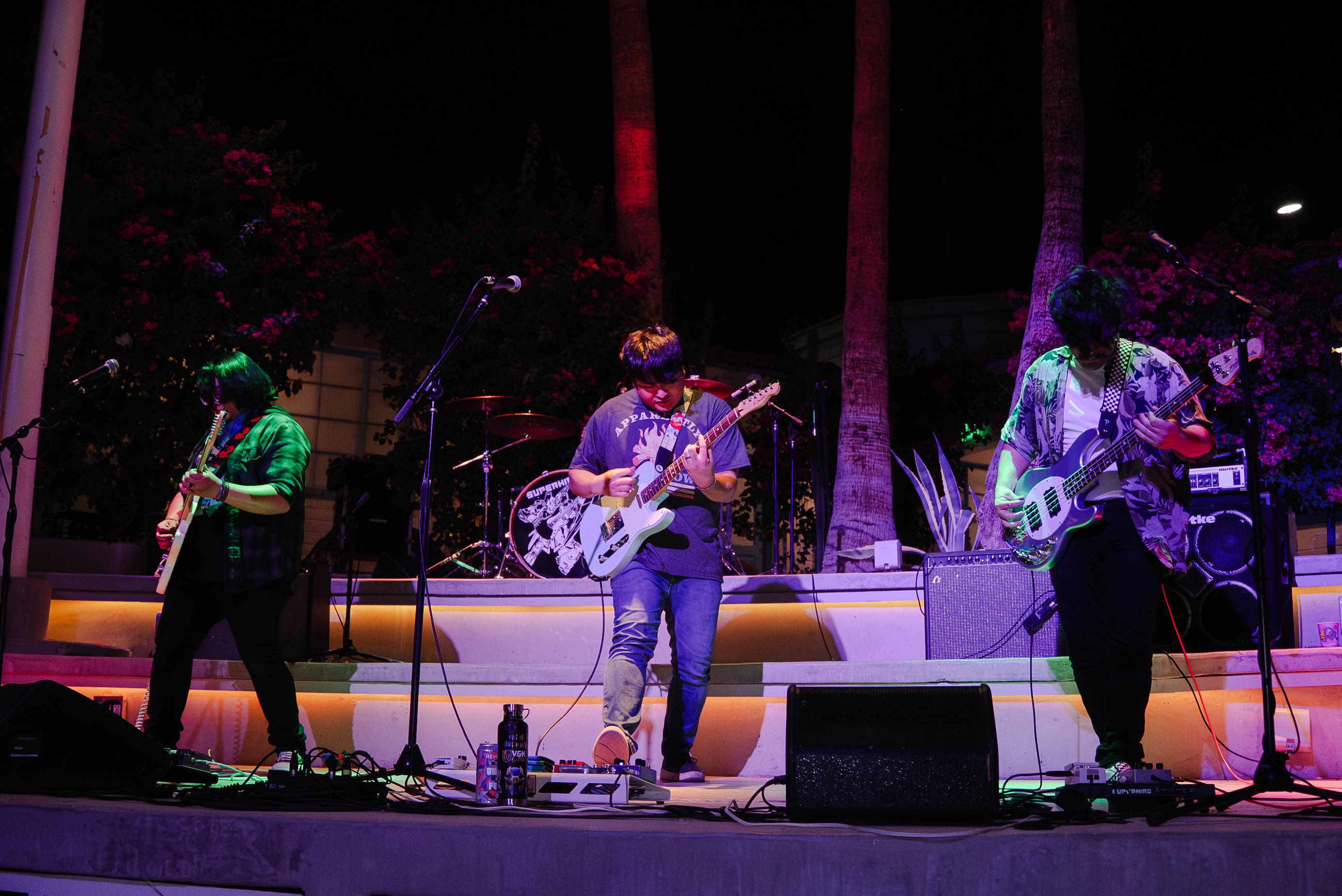 Live concert photo: replace with a real photo