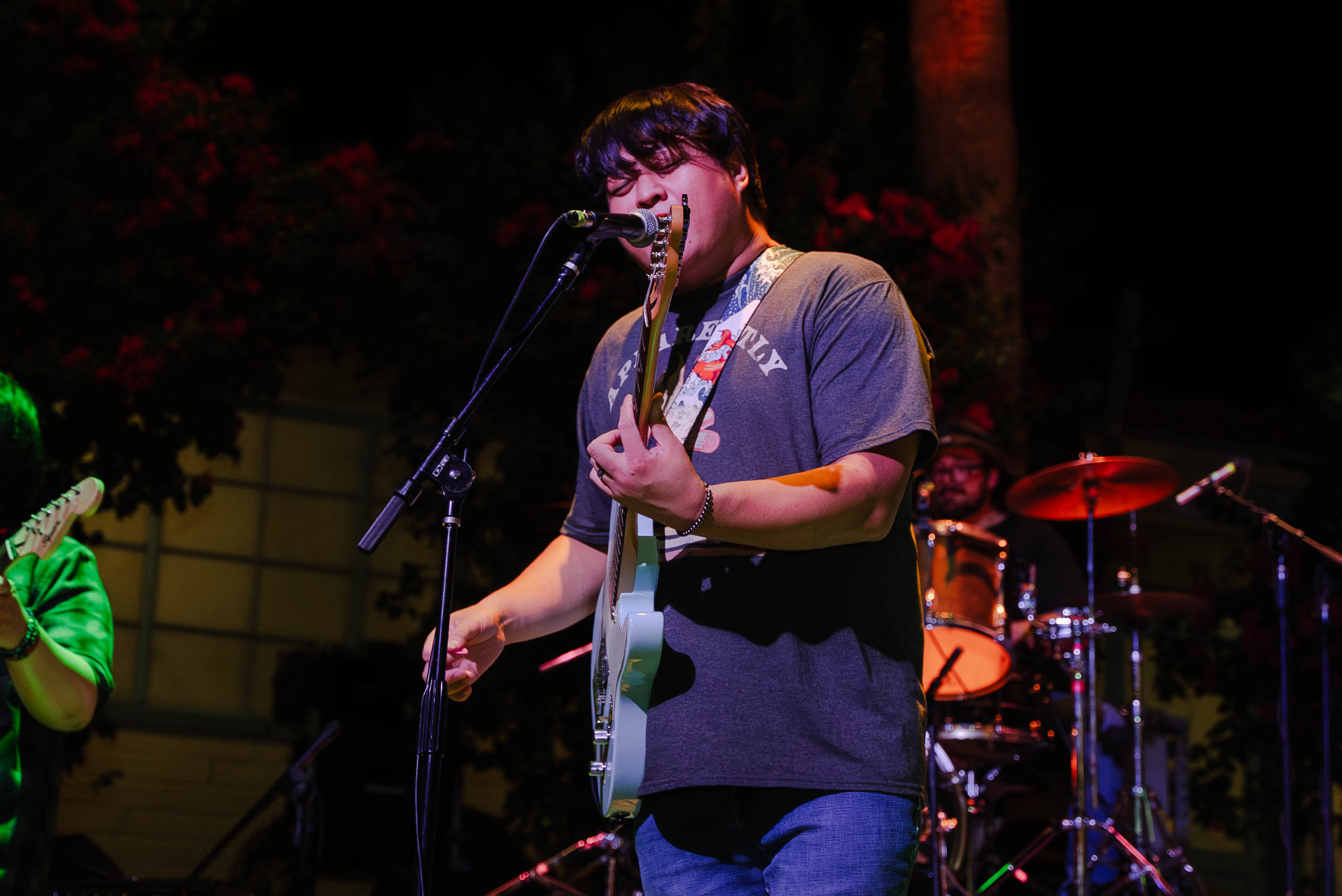 Live concert photo: replace with a real photo