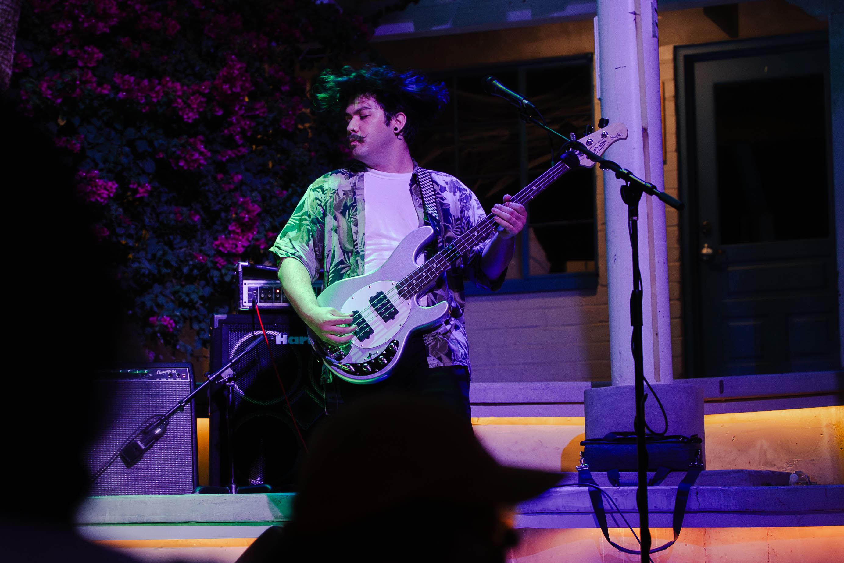 Live concert photo: replace with a real photo