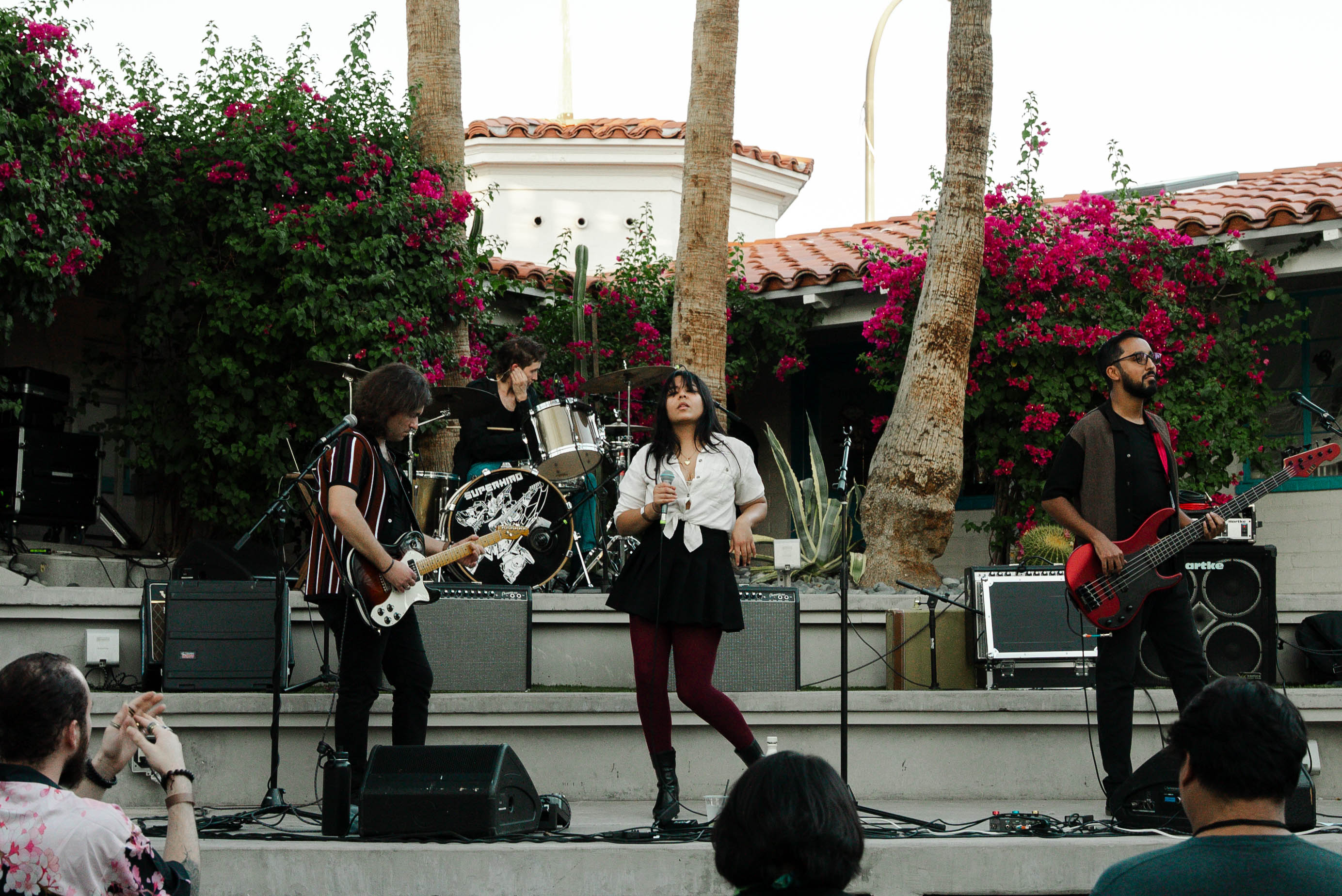 Live concert photo: replace with a real photo